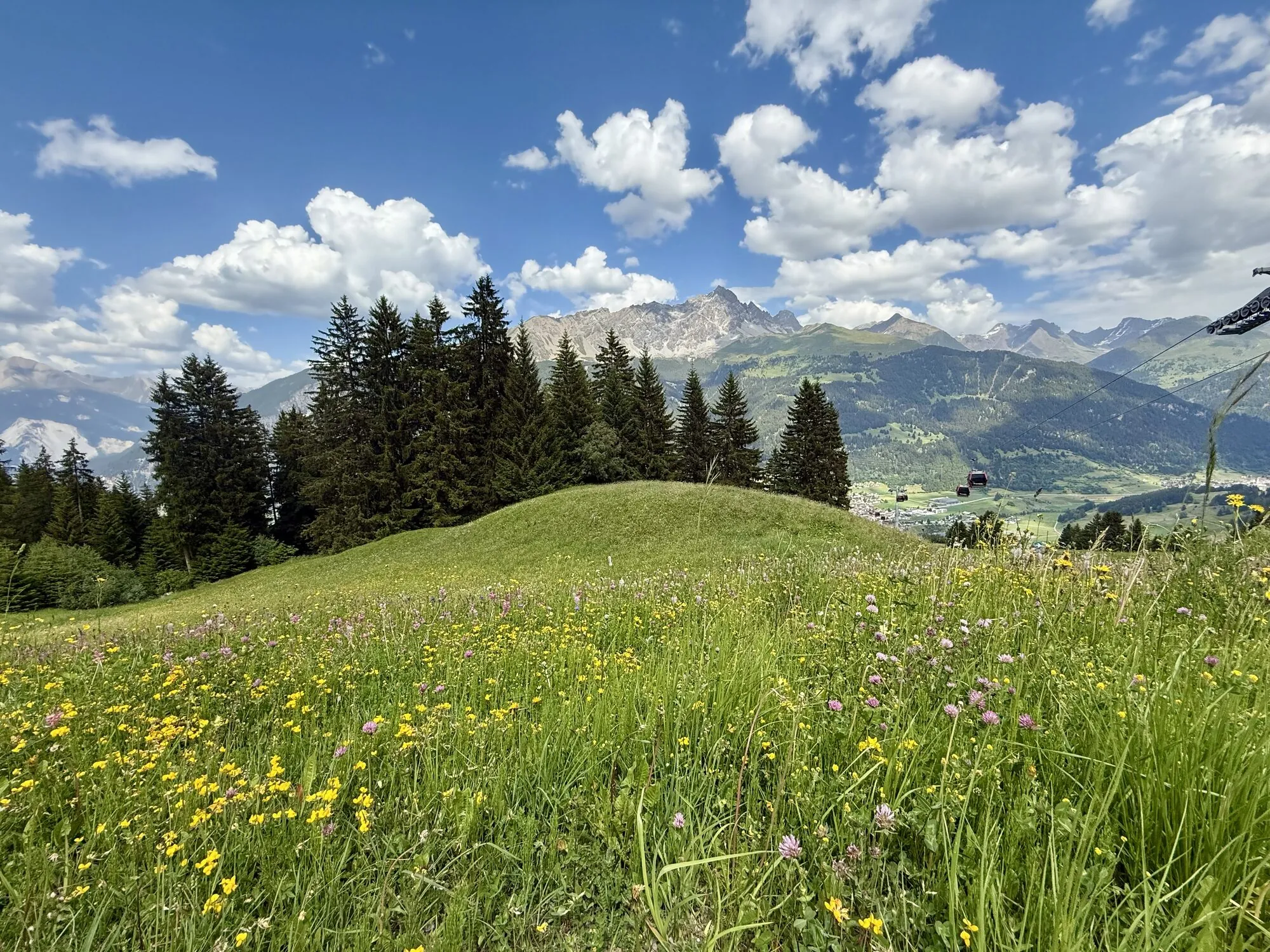 Umgebung